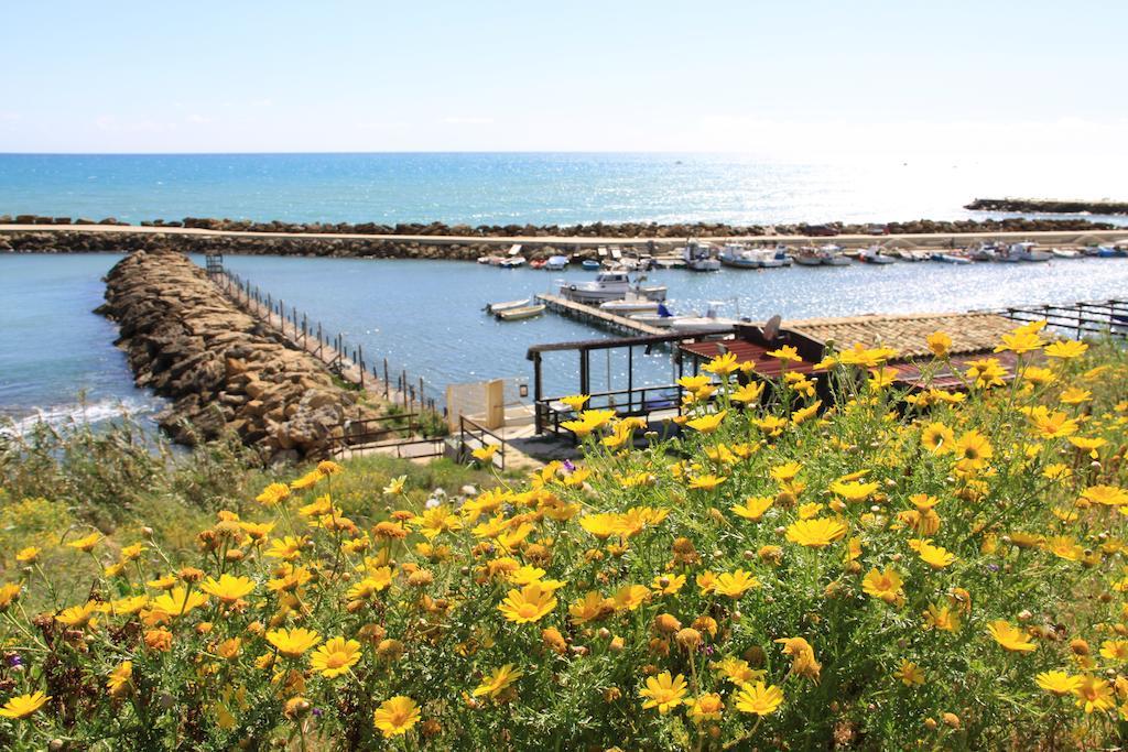 Il Pescatore Marinella di Selinunte Luaran gambar